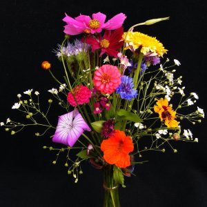 birthday-bouquet-1559029_1280