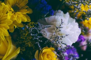 flowers-690073_1280